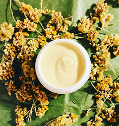 #4:               АРНІКА