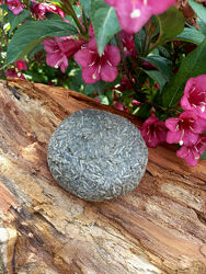 #2:         ТРАВ´ЯНИЙ