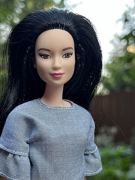 Барбі фашіоністас, Barbie fashionistas