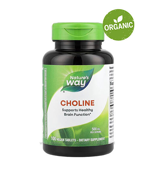 Natures Way, Холін, 500 мг, 100 таблеток