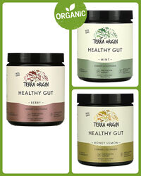 Terra Origin, Healthy Gut, для здоровя кишечника, мята/ягоди/мед та лимон