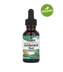 Natures Answer, корінь жовтокореня, екстракт, без спирту, 30 мл