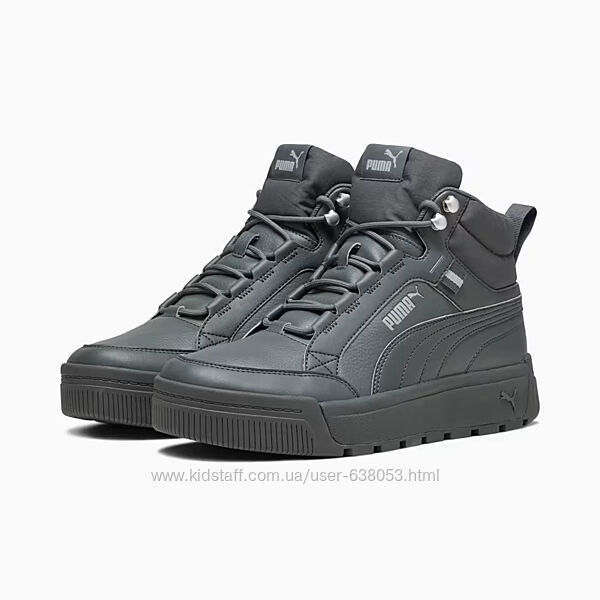 Кросівки чоловічі Puma Tarrenz SB III 308495 01