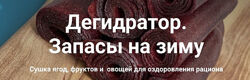 Дегидратор. Запасы на зиму Ольга Неблогер