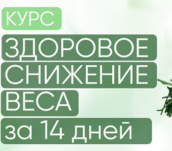 Здоровое снижение веса за 14 дней 2022Регина Доктор