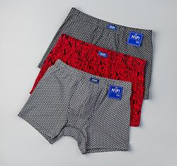 Чоловічі труси шорти подовжені Alles Soft cotton