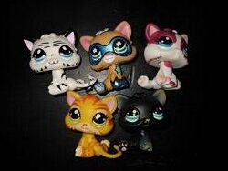 Собачки кошечкиlps