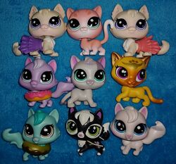 Lps стоячки