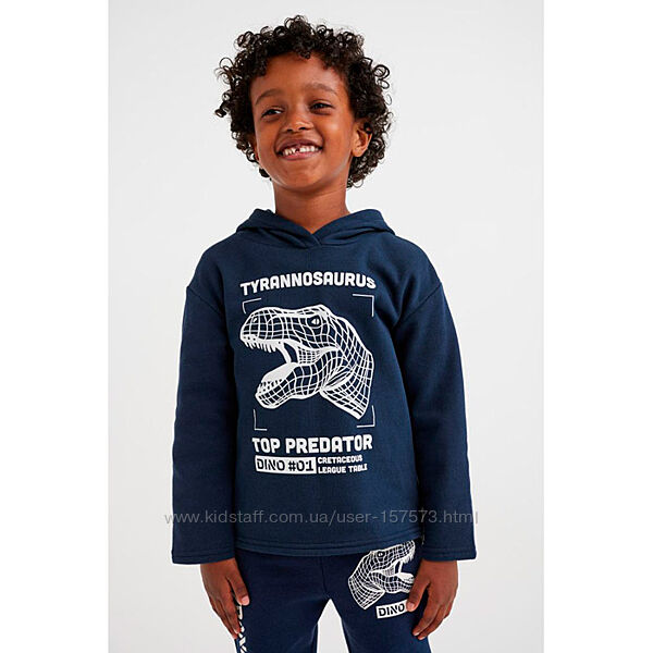 Дитяча толстовка худі на флісі Dinosaur H&M на хлопчика 80010