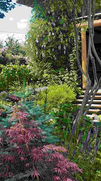 Зонирование сада. Ландшафтный дизайн.