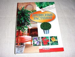Книга Комнатное цветоводство Древесные растения Растения в кадках