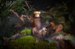  Bois 1920 , розпив