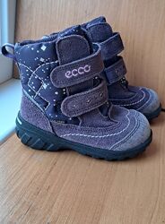 Черевики чоботи Ecco p21 