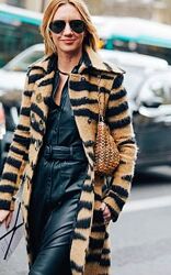 Пальто принт зебра 