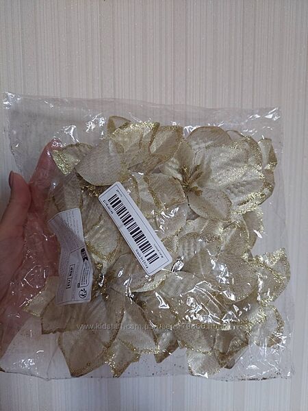 Квіти для ялинки - пуасентія