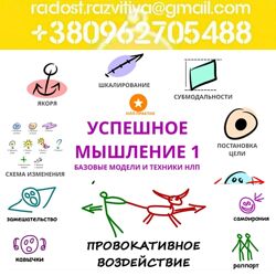12 курсов Александр Любимов Успешное мышление Провокативное воздействие Пов