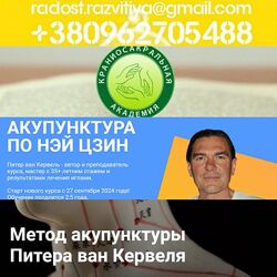 20 курсов Питер ван Кервель Акупунктура по Нэй Цзин Семинар 12 Краниосакрал