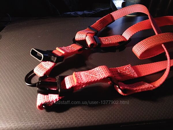 Шлея для собаки