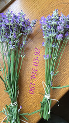 Разные сухоцветы для творчества.