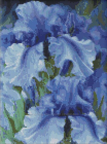 Алмазна мозаїка AMO7129 Блакитні іриси Юлія Томеско, 30x40см Ідейка на підрамнику