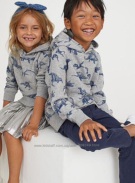 Стильное худи в динозавры H&M