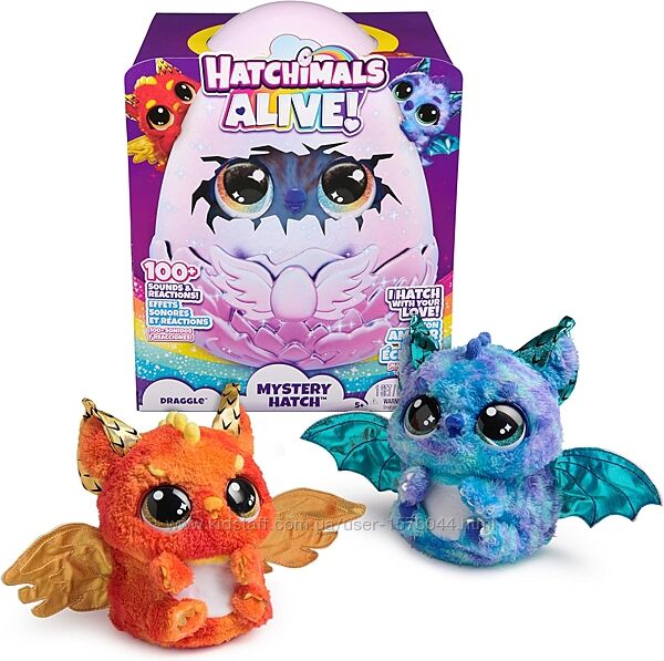 Интерактивная игрушка Hatchimals Alive, Mystery Hatch Draggle