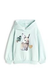 Худі толстовка кофта з капішоном H&M начьос