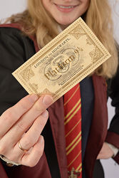 Билет на поезд в Хогвартс, платформа 9 и 3/4, Гарри Поттер