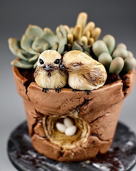 9/Торт в горшке с суккулентами. MARIA MAGRAT