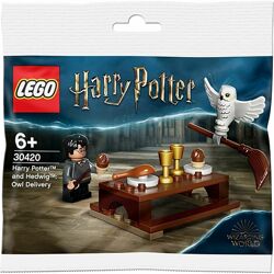 LEGO Harry Potter Гарри Поттер и Букля Совиная почта 30420