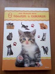 Детская энциклопедия всё о кошках и котятах