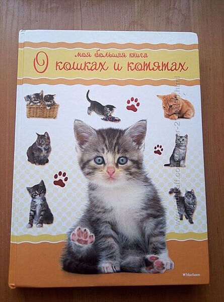Детская энциклопедия всё о кошках и котятах
