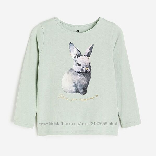 Реглан H&M р. 4-6 років.