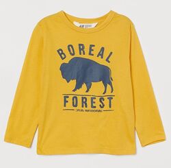 Реглан H&M р. 4-6 років.