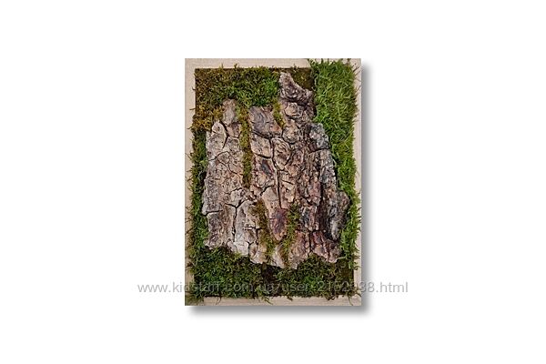 Фіто картина кора дерева, текстура дерева в рамці, лісовий настінний декор