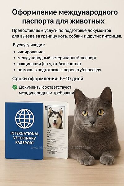 Срочное оформление документов для выезда животных за границу